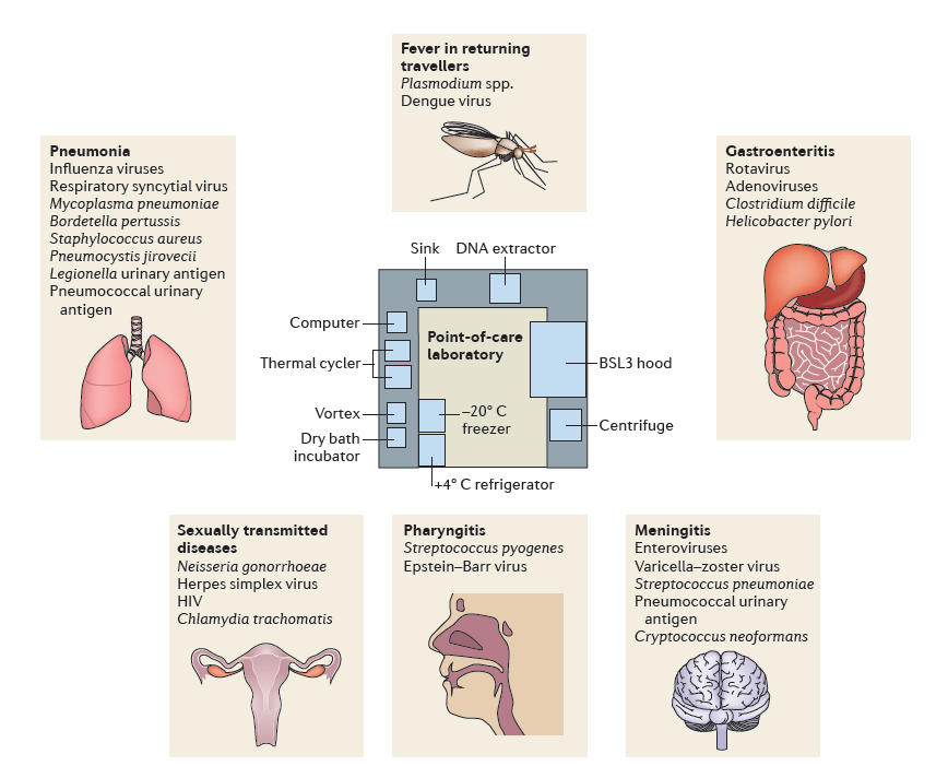 Koncepce mikrobiologie -