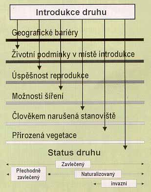 původní druhy: migrace, expanze nepůvodní (cizí) druhy: introdukce