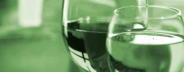 Vína z různorodých vinařských oblastí z ČR i ze zahraničí. Každé podnebí vtiskne bobulím rozličné chuťové vlastnosti a proto je každé vyrobené víno jedinečné svou barvou, chutí a charismem.