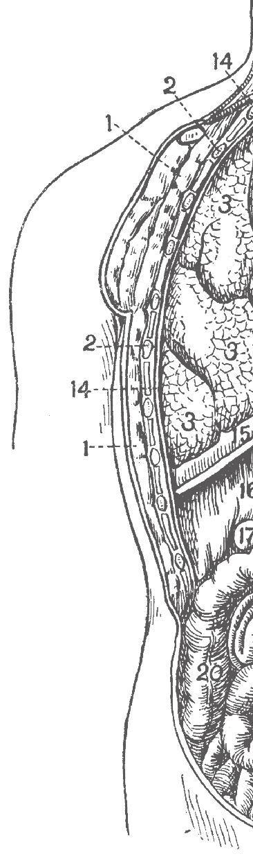 PODĚBRADY - navigační mapa 1. Hotel Bellevue-Tlapák 2. Hotel Libenský 3. Hotel Zimní Lázně 4. Spa Hotel Felicitas 5. Lázeňský hotel Park 6. Art Hotel 7. Penzion Flídr 8. Hotel Golfi 9.