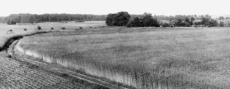 Archeologické rozhledy LXVI 2014 655 Obr. 3. Kozly Čihadla, pohled od SV; stav v l. 1956 1961. Fig. 3. Kozly Čihadla, view from the south (top) and north-east (bottom); as of 1956 1961. mentace.
