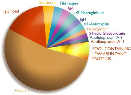 celkový protein (64-83 g/l) albumin (32-45 g/l) ~ 60% ELFO C-reaktivní