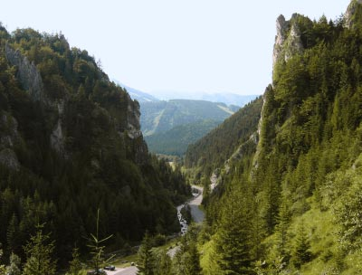 KONT ONTAK AKTNÉ ADRESY Štátna ochrana prírody SR Správa NP Malá Fatra Hrnčiarska ulica 197 013 03 Varín Tel. 041 5692311 fax. 041 5071415 e-mail: snpmf@sopsr.sk www.sopsr.sk/natura Autori fotografií: M.