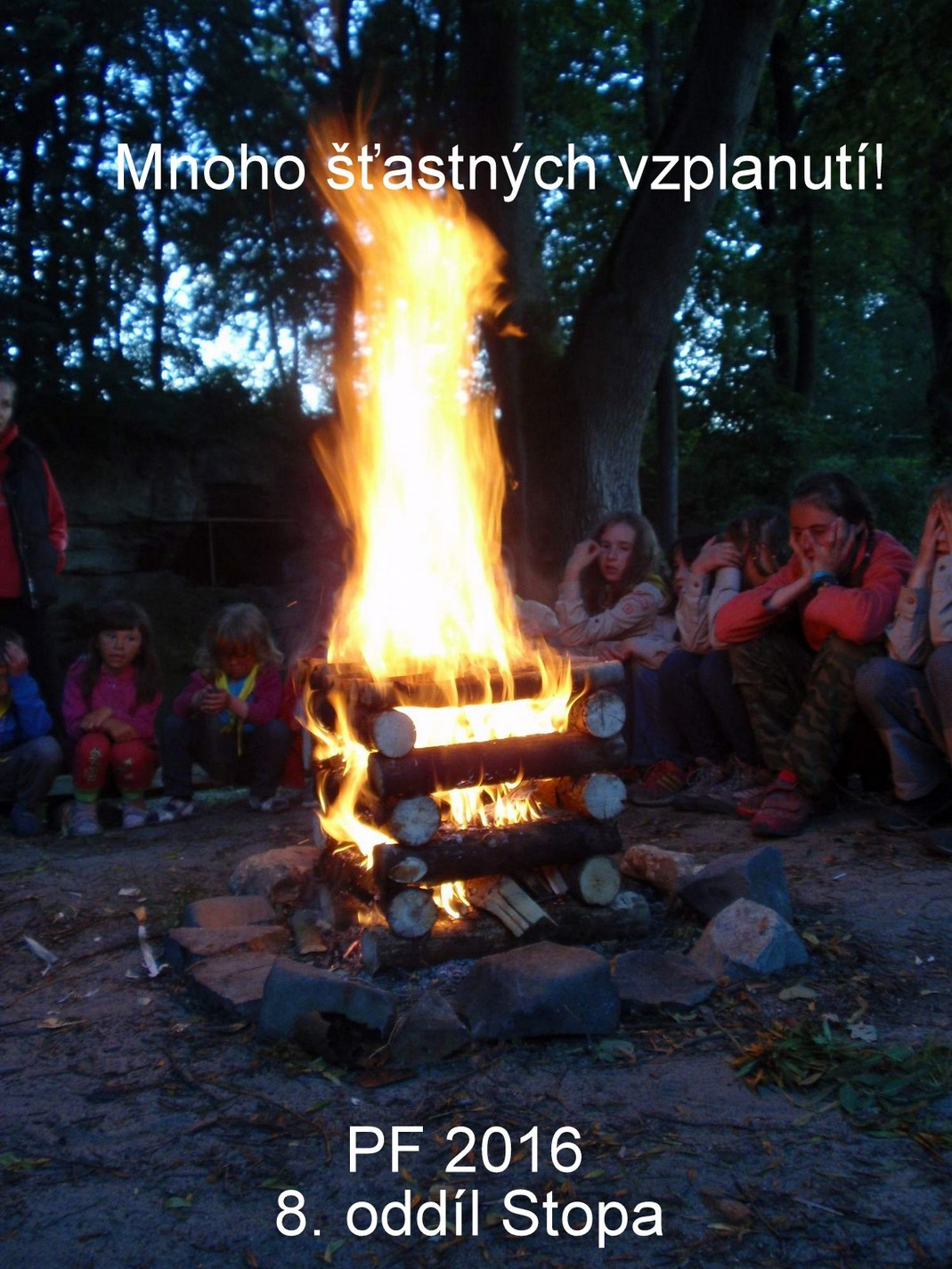 Těšíme se na další spolupráci s vámi!