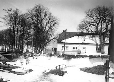 1953 RYBNÍK PODE DVOREM KAŠTAN A LÍPA PŘED STATKEM ČP.