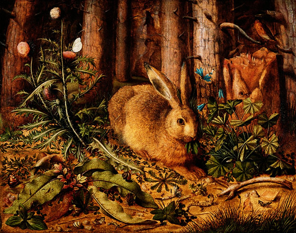 18. Zajíc v lese (1585) Hans Hoffamann, olej na