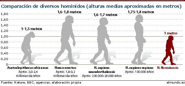 Homo floresiensis záhada kde se tam vzal?