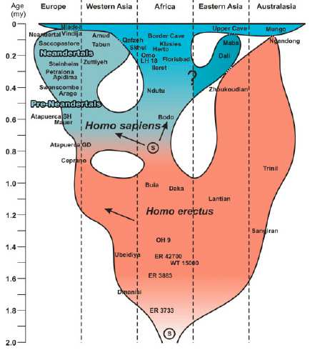 Velcí lidé a biogeografie záhadné fragmentární nálezy v Číně (250-100 kya) ~ H. heidelbergensis ( Denisované? soužití s H. pekinensis) Ngandong (Jáva): H.
