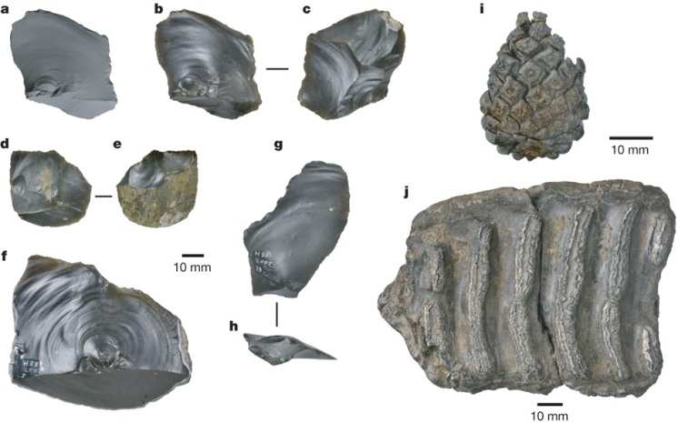 Rozšíření sapientní linie v Eurasii 2010: archeologické nálezy v Anglii (Happisburgh) cca 780 kya (~ H.