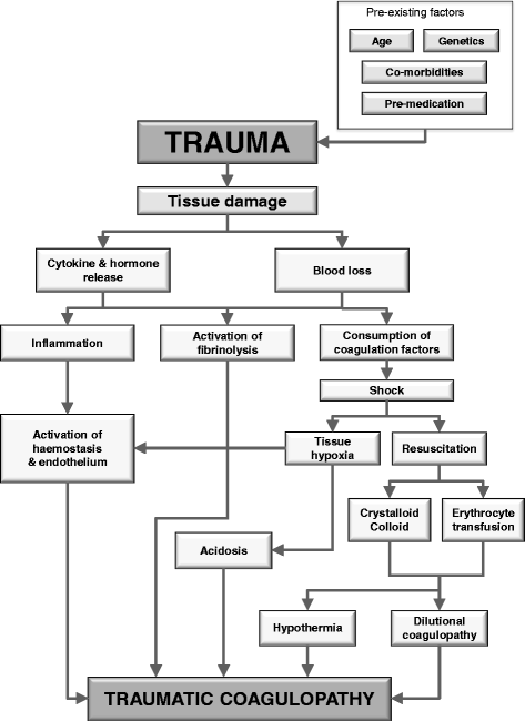 TIC TRAUMATEM