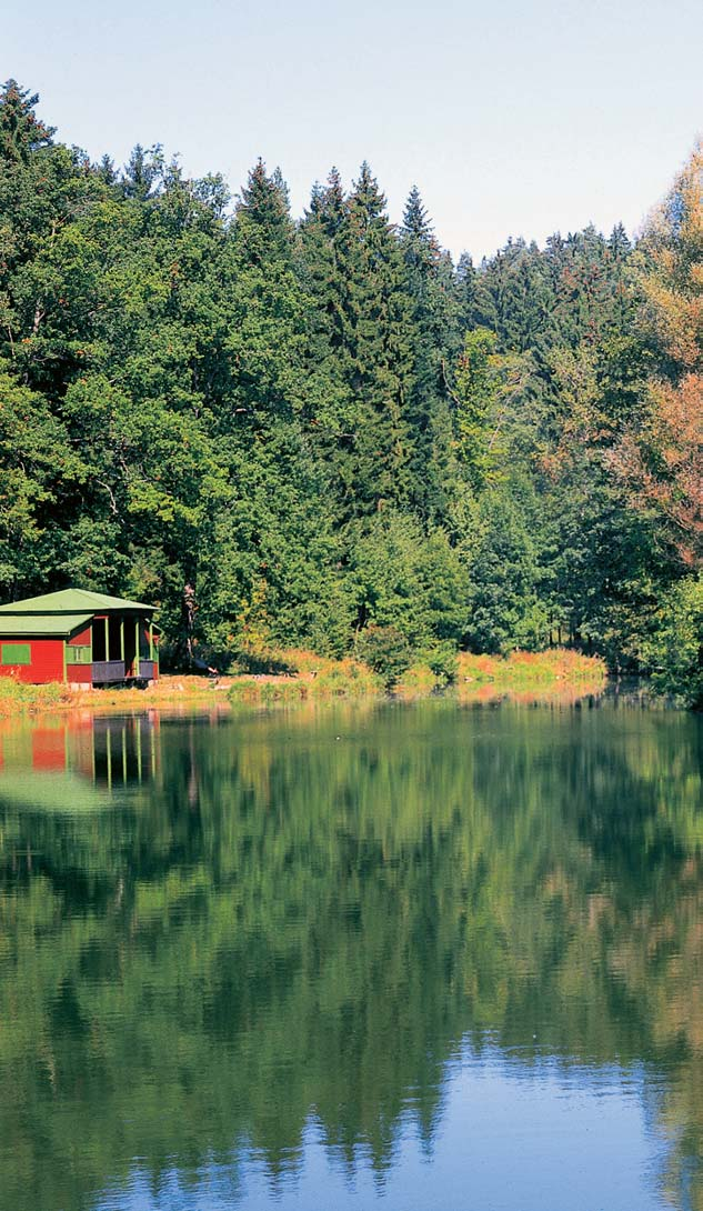 Královéhradecko Pfiírodní park Les Vãeln Byl zfiízen v roce 996 na území lesa Vãeln severov chodnû od Rychnova nad KnûÏnou.