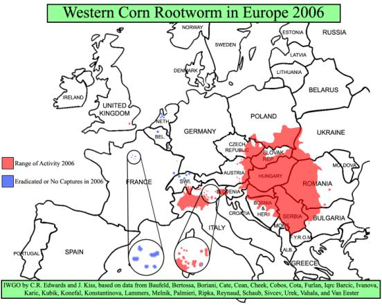 Obr. 3 Šíření Bázlivce kukuřičného v Evropě v letech 1992-2004 Zdroj: www.mkk.szie.hu Obr.