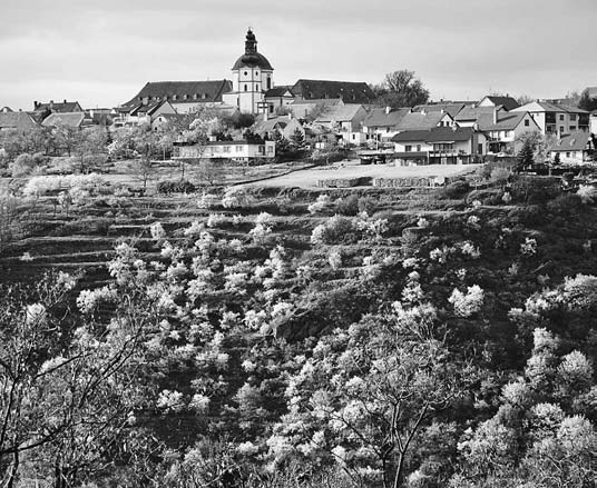 David Grossmann Čtvrtstoletí národního parku Podyjí Pětadvacet let národního parku Podyjí, které jsme v Živě přiblížili několika články v čísle 2016, 4, zanechalo v krajině svou stopu.