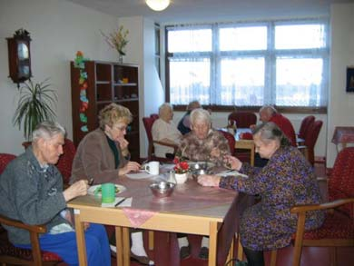 4 Domov důchodců Hodonín, příspěvková organizace poskytuje ústavní sociální péči především občanům, kteří dosáhli věku rozhodného pro přiznání starobního nebo přiznání invalidního důchodu a pro
