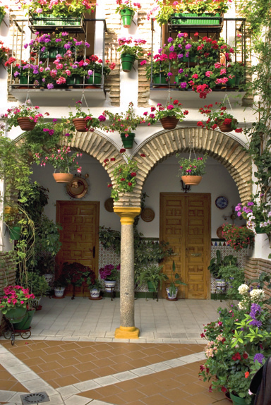 Siéntete como en tu propia casa! Pozor na chytáky El patio V češtině toto slovo, i pod vlivem angličtiny, získalo význam nezastřešený prostor vedle budovy.