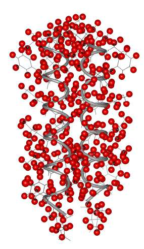 NMR proteinů Přiřazení pozorovaných 1 H rezonancí individuálním aminokyselinám. Protonové rezonance jsou často rozlišeny na základě rozdílů v chemickém posunu.