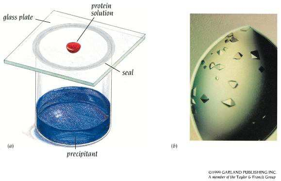 Krystalizace Energetický diagram krystalizace Experimentální uspořádání Airlie J McCoy,