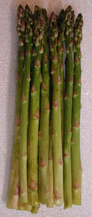 Chřest (Asparagus)