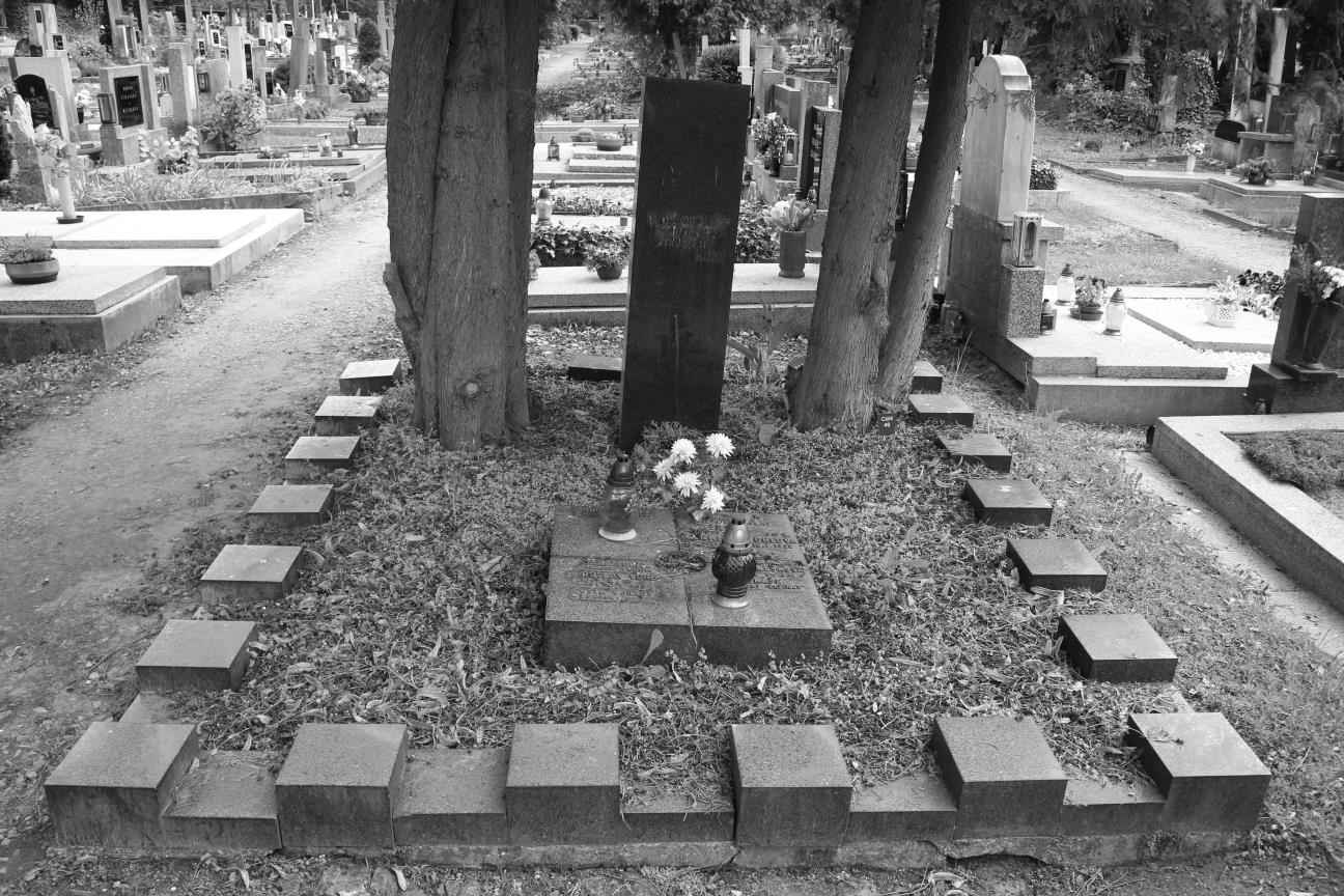 Městský hřbitov v Ústí nad Orlicí - PDF Stažení zdarma