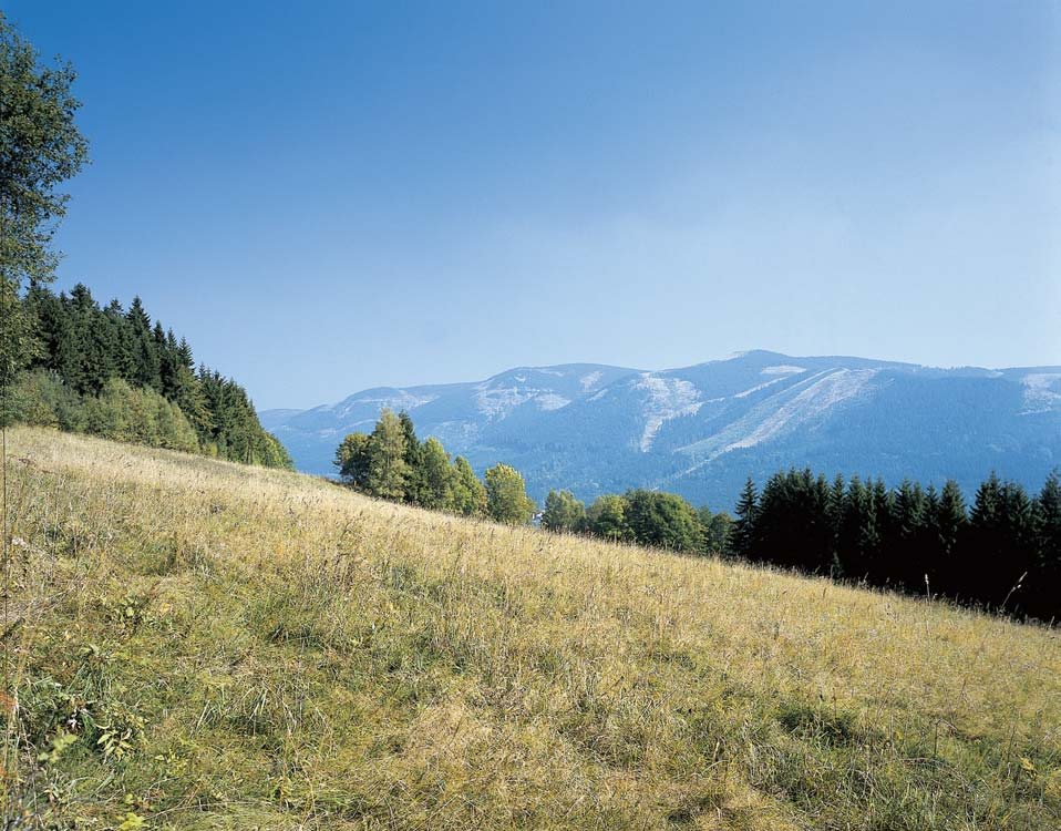 Okres Ústí nad Orlicí Pfiírodní park Králick SnûÏník Byl zfiízen v roce 987 jako oblast klidu dle zákona ã. 40/956 Sb.