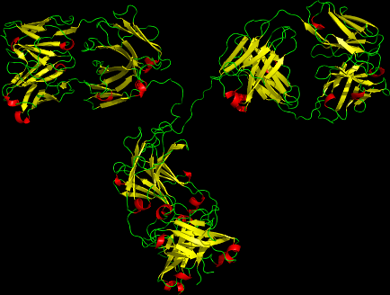 Biosimilární erytropoetiny Odlišnosti v biologické aktivitě, které jsou