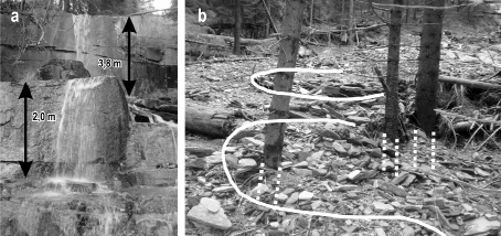 Obr. 2: a Vodopád na zdrojnici Jeleního potoka; b recentní čerstvé akumulace BBP (plná čára) v horním úseku Klepáčského potoka pohřbívající stromy (tečkovaná čára) rostoucí podél toku. Fig.