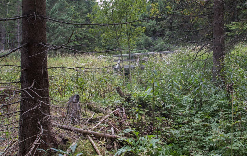 8. Žďárský potok, Soukenná Charakteristika mikrolokality Číslo mikrolokality v rámci lokality 1 Slovní popis, typ mikrolokality GPS souřadnice (WGS 84) Druh dřeviny Rozměry substrátu Stupeň rozkladu