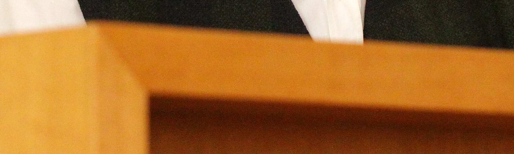 3. Fotografie konzervovaného materiálu rodu Eresus (D. Hrabalová) 4. Připravovaný fotografický klíč štírků (F. Šťáhlavský a T. Krejča) D) Publikační výstupy: 1.