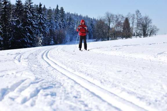 3.3 Projekt Lyžařské běžecké trasy v Kladském pomezí Údržbě lyžařských běžeckých tras v Kladském pomezí se věnuje více subjektů již několik let.