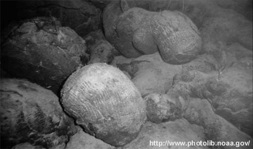 PILLOW -LAVA (polštářovitá) - vznik pod