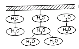 Sorpce vody II Sorpce vody souvisí se složením vláken, stavem jejich povrchu, přístupností hydrofilních skupin, rozvolněností struktury, distribucí pórů,