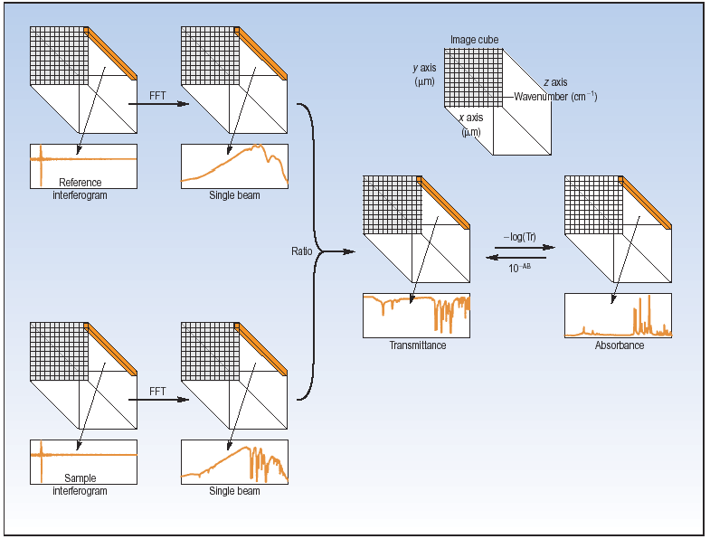 Chemical images of sample IR