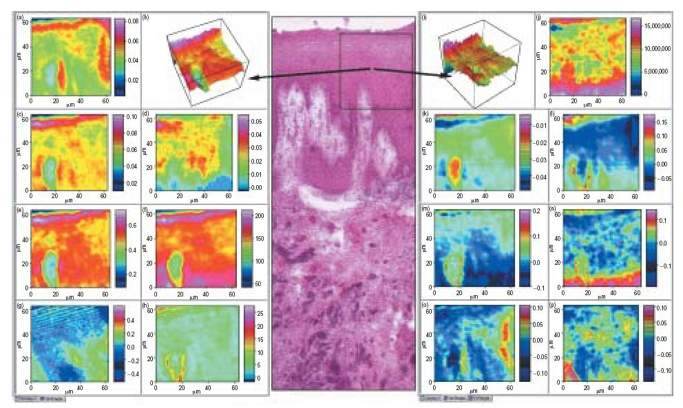 Chemical images of sample IR imaging