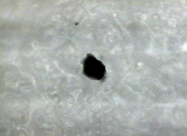 Log(1/R) Log(1/R) IR Microspectroscopy Sampling Modes Reflection - ATR objective crystals - ZnSe, Ge, Si, Diamond 0.