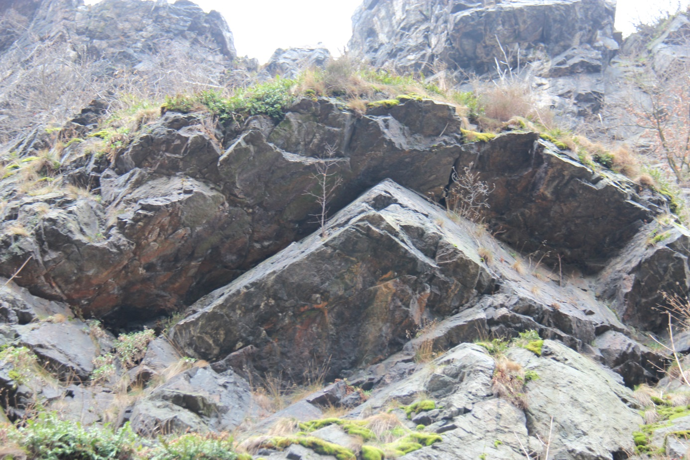 Zhotovitel: Projektování, provádění a vyhodnocování geologických prací, RNDr. Jan Schröfel, (Ing.Mgr.