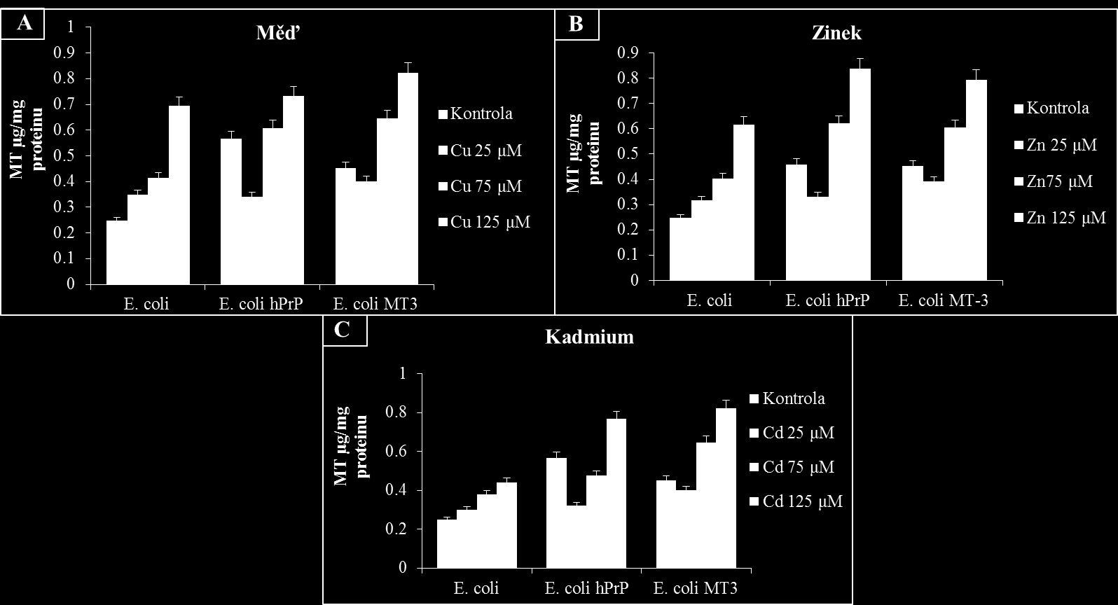 Obrázek 12: Množství metalothioneinu v buňkách bakterií E.