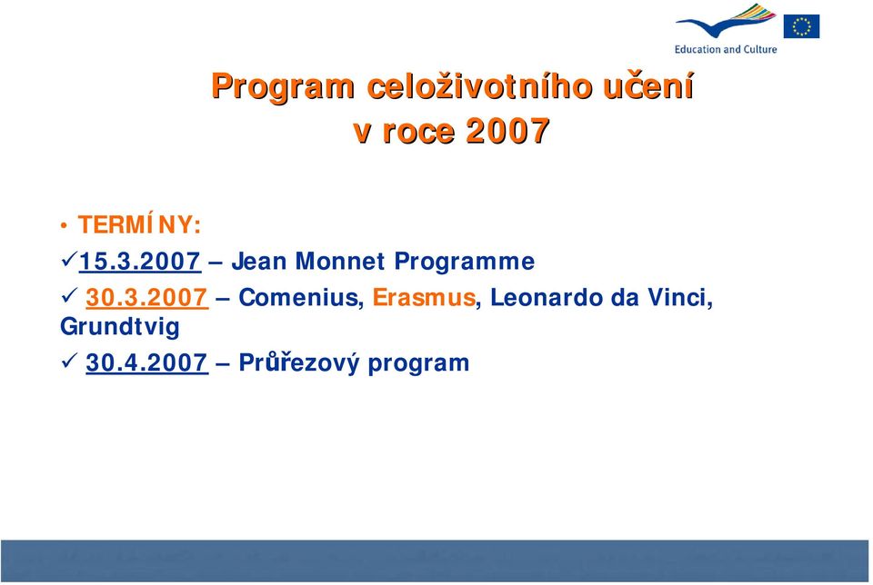 2007 Jean Monnet Programme 30