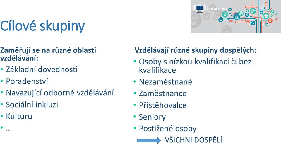 Vzdělávají různé skupiny dospělých: Osoby s nízkou kvalifikací či bez