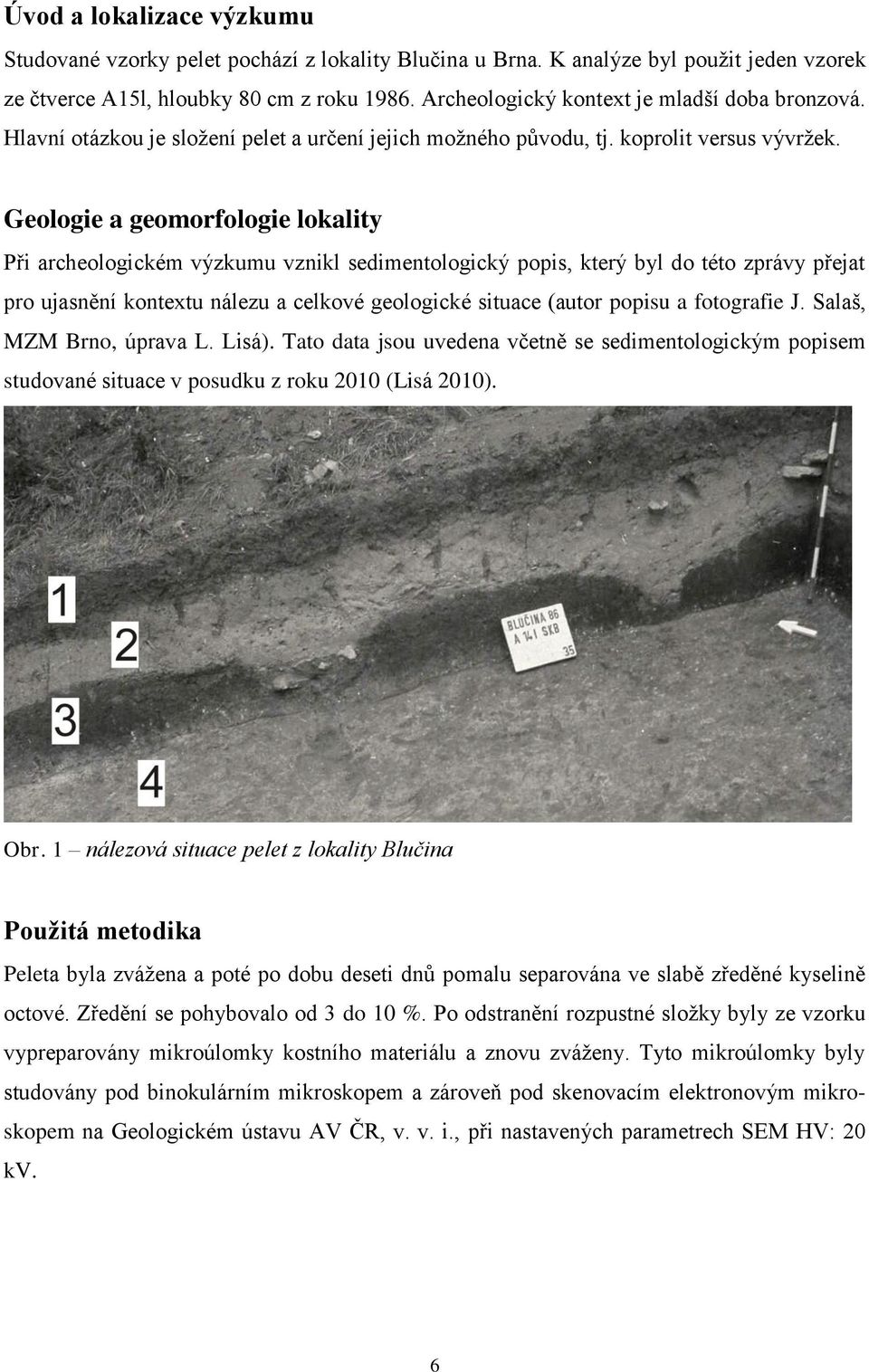 Geologie a geomorfologie lokality Při archeologickém výzkumu vznikl sedimentologický popis, který byl do této zprávy přejat pro ujasnění kontextu nálezu a celkové geologické situace (autor popisu a
