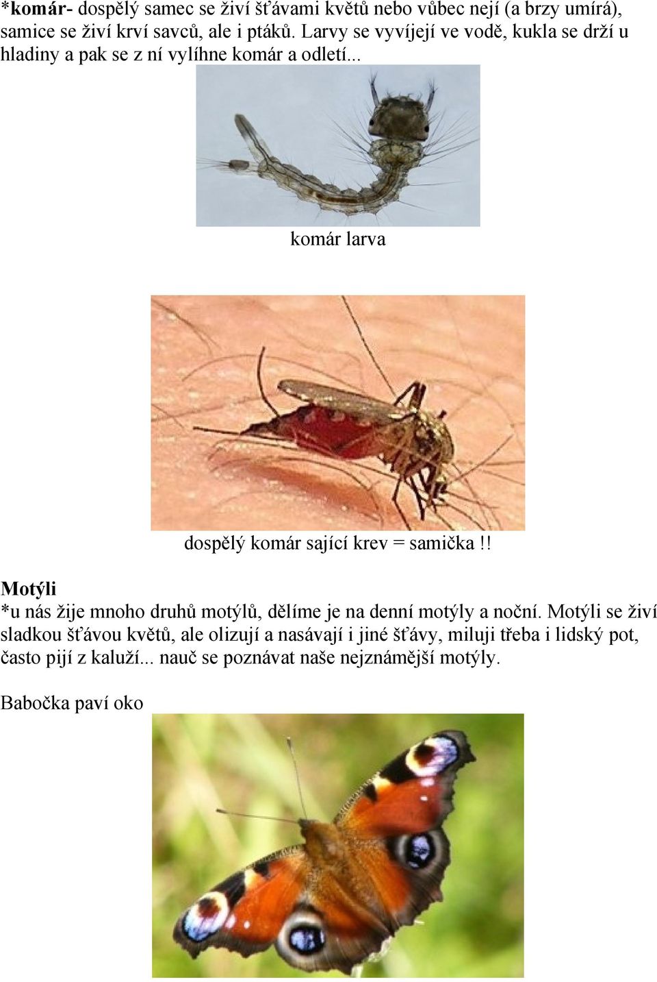 .. komár larva dospělý komár sající krev = samička!! Motýli *u nás žije mnoho druhů motýlů, dělíme je na denní motýly a noční.