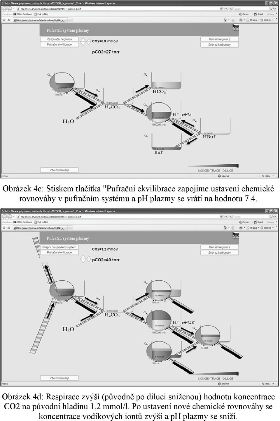 Obrázek 4d: Respirace zvýší (původně po diluci sníženou) hodnotu koncentrace CO2 na