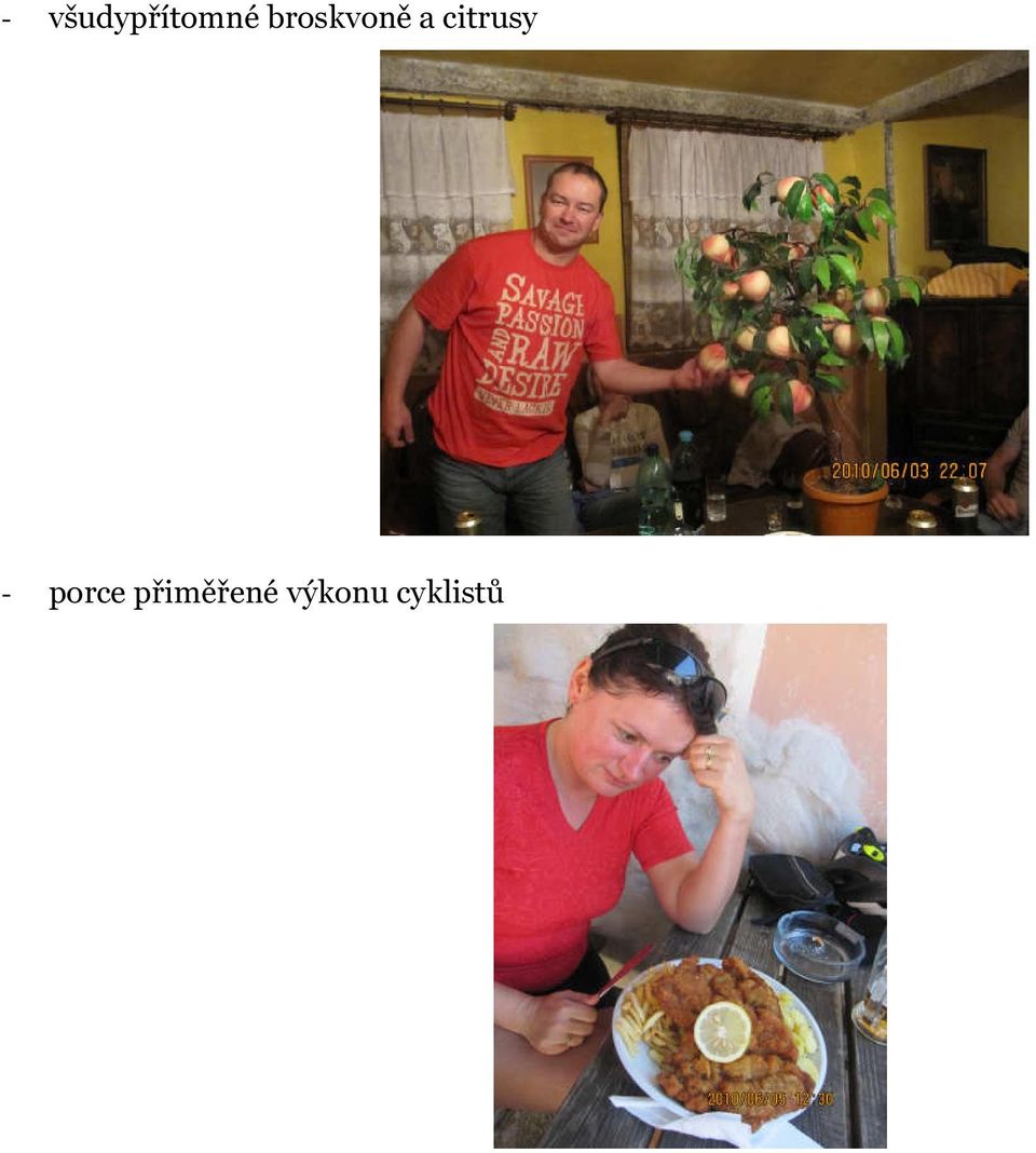 citrusy - porce