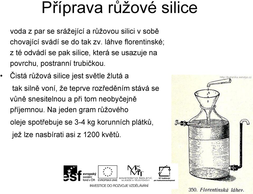 Čistá růžová silice jest světle žlutá a tak silně voní, že teprve rozředěním stává se vůně snesitelnou a při