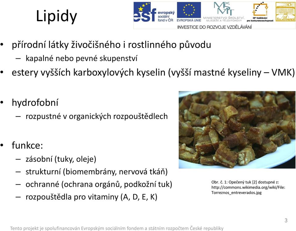 oleje) strukturní (biomembrány, nervová tkáň) ochranné (ochrana orgánů, podkožní tuk) rozpouštědla pro vitaminy