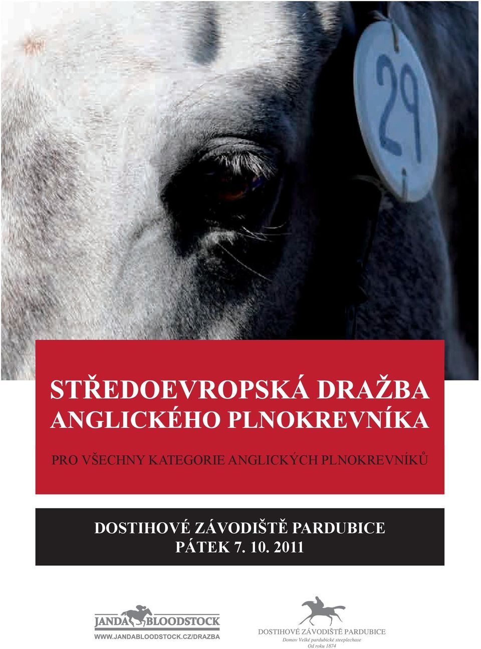 DOSTIHOVÉ ZÁVODIŠTĚ