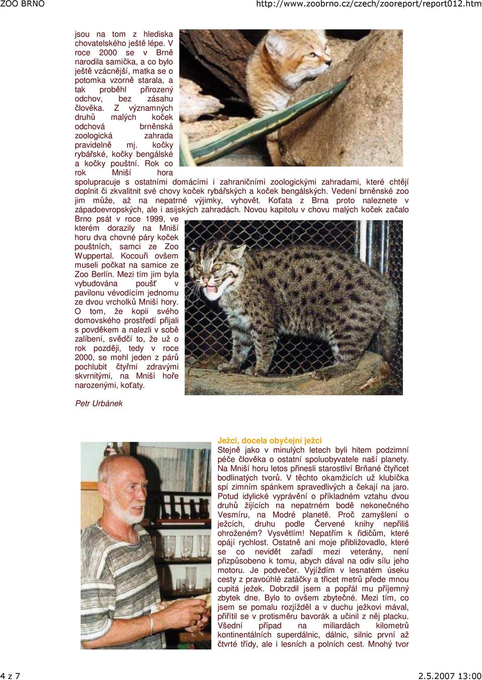 Z významných druhů malých koček odchová brněnská zoologická zahrada pravidelně mj. kočky rybářské, kočky bengálské a kočky pouštní.