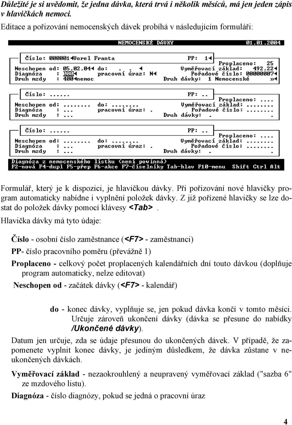 Při pořizování nové hlavičky program automaticky nabídne i vyplnění položek dávky. Z již pořízené hlavičky se lze dostat do položek dávky pomocí klávesy <Tab>.