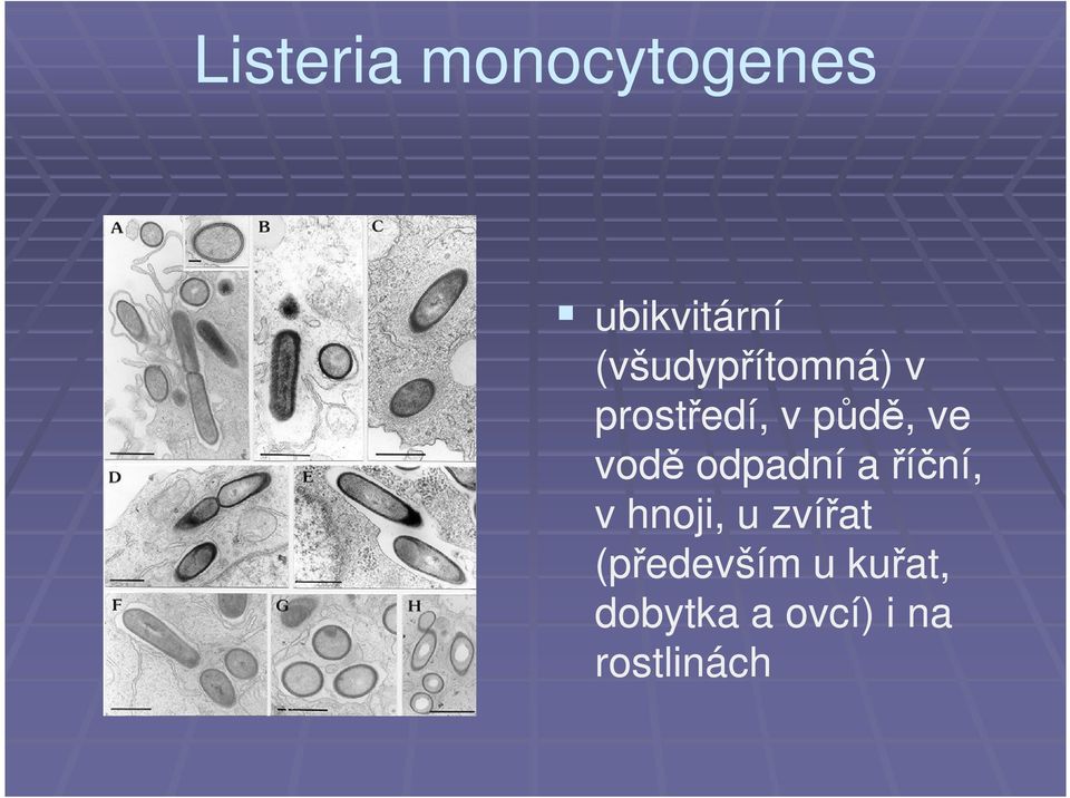 vodě odpadní a říční, v hnoji, u zvířat