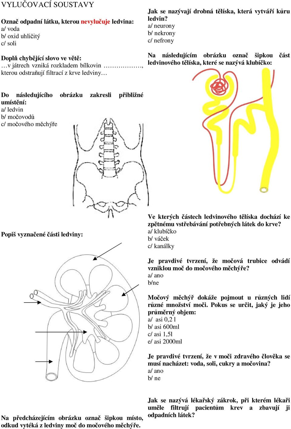 a/ neurony b/ nekrony c/ nefrony Na následujícím obrázku ozna šipkou ást ledvinového tlíska, které se nazývá klubíko: Do následujícího obrázku zakresli pibližné umístní: a/ ledvin b/ moovod c/