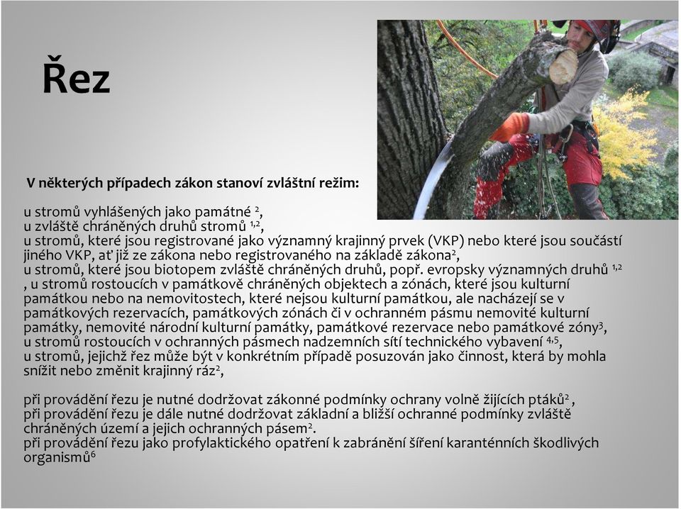 evropsky významných druhů 1,2, u stromů rostoucích v památkově chráněných objektech a zónách, které jsou kulturní památkou nebo na nemovitostech, které nejsou kulturní památkou, ale nacházejí se v